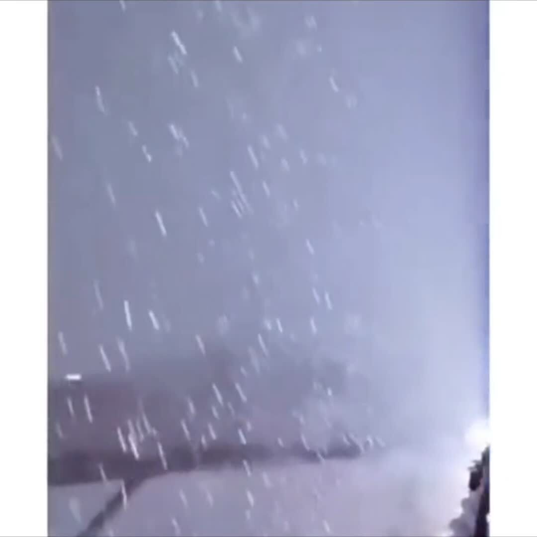 Природа умеет удивлять. | Jolina, 06 декабря 2023