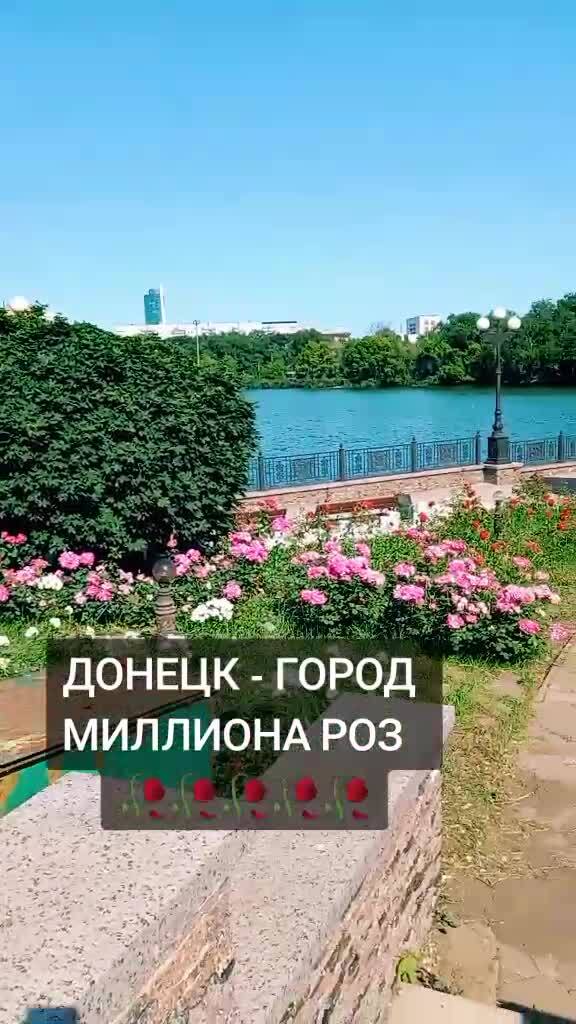 Донецк ДНР - Город Миллиона Роз. Парк Щербакова. Июнь 2023 год ...