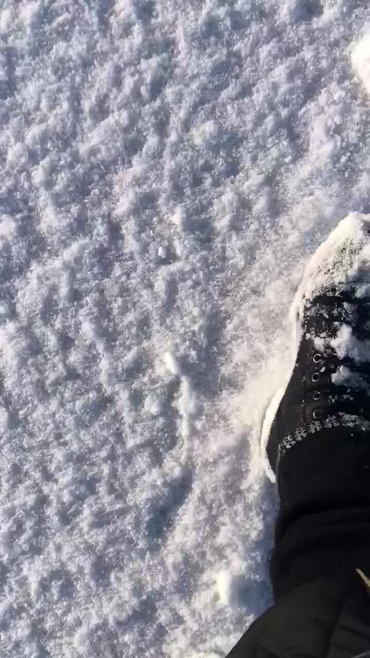 Крымская тундра?? | Роза, 16 января 2024