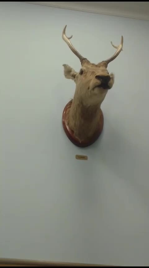 Ты моя прелесть. Ты прелесть. Край прелесть. Край прелесть. Край прелесть.