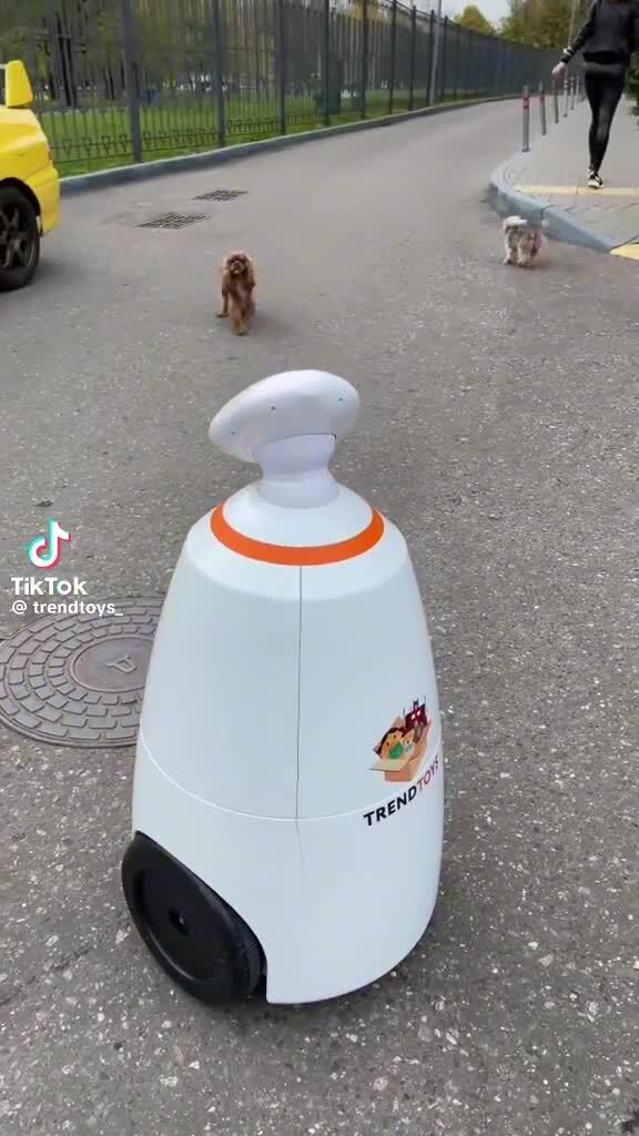 Робот друг часть 2 | Рубан Екатерина Анатольевна, 03 февраля 2024