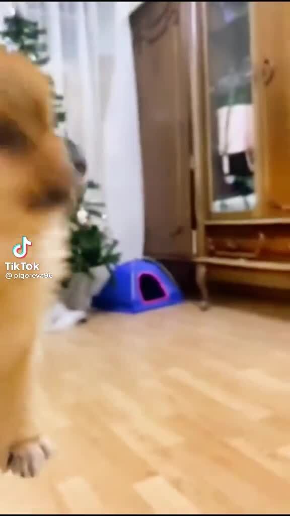 Меня лучше не злить😘 | Рубан Екатерина Анатольевна, 03 февраля 2024