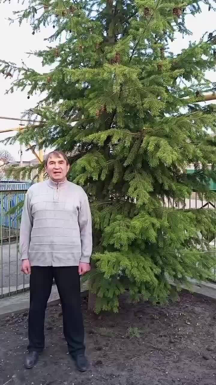 Памяти Русского писателя, поэта и патриота Владимира Солоухина.