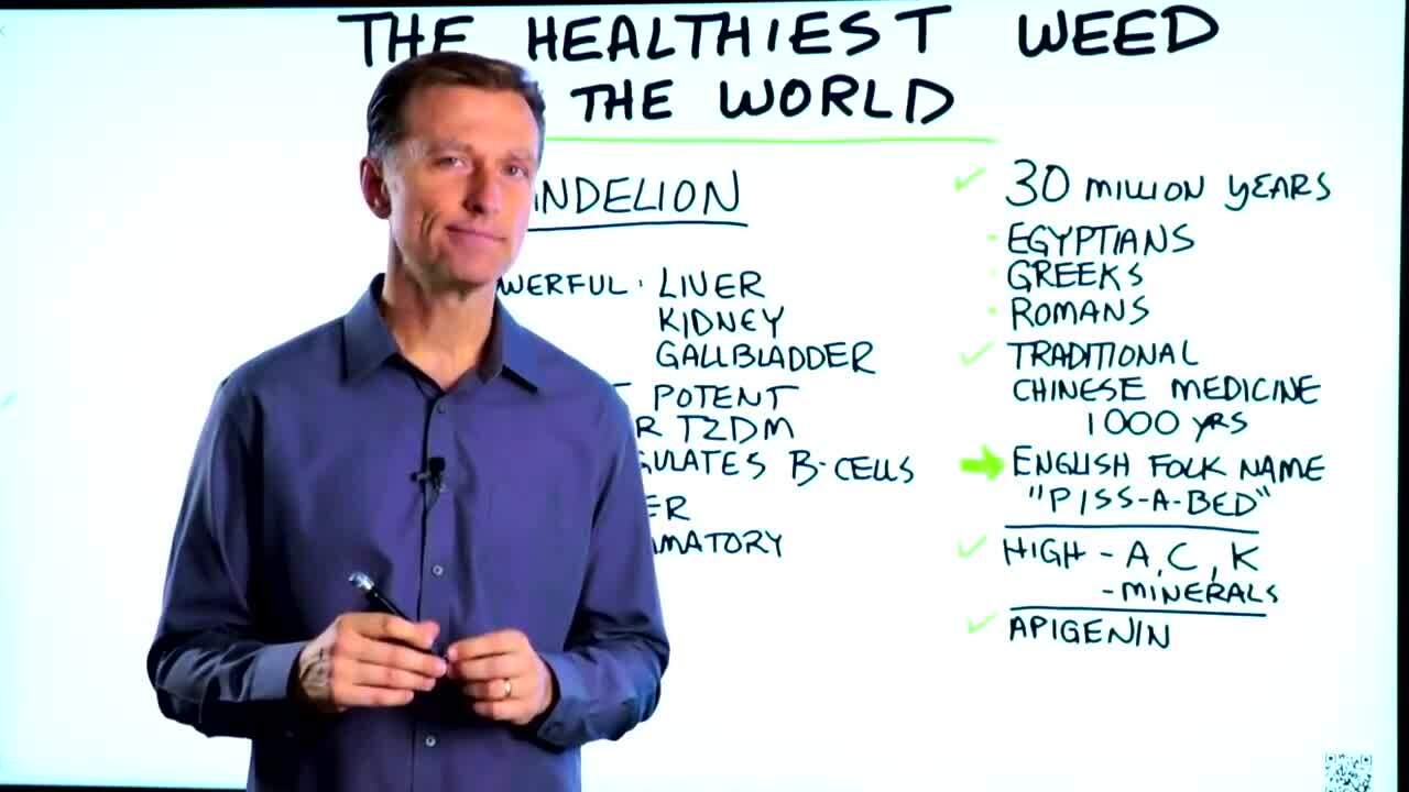 Лечебные свойства одуванчика.Одуванчик самый полезный сорняк в мире ,💥 ...