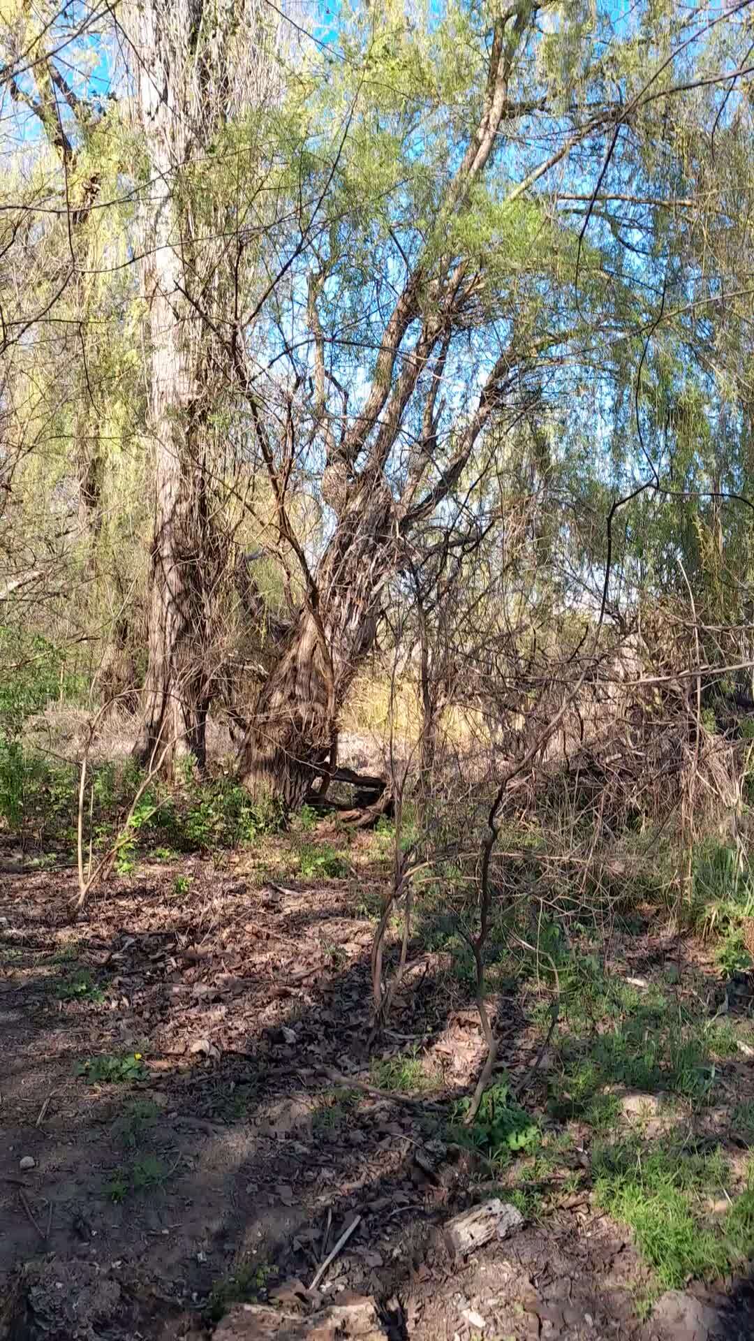 Кропоткина сборные дома ландшафт Кропоткина сборные дома ландшафт
