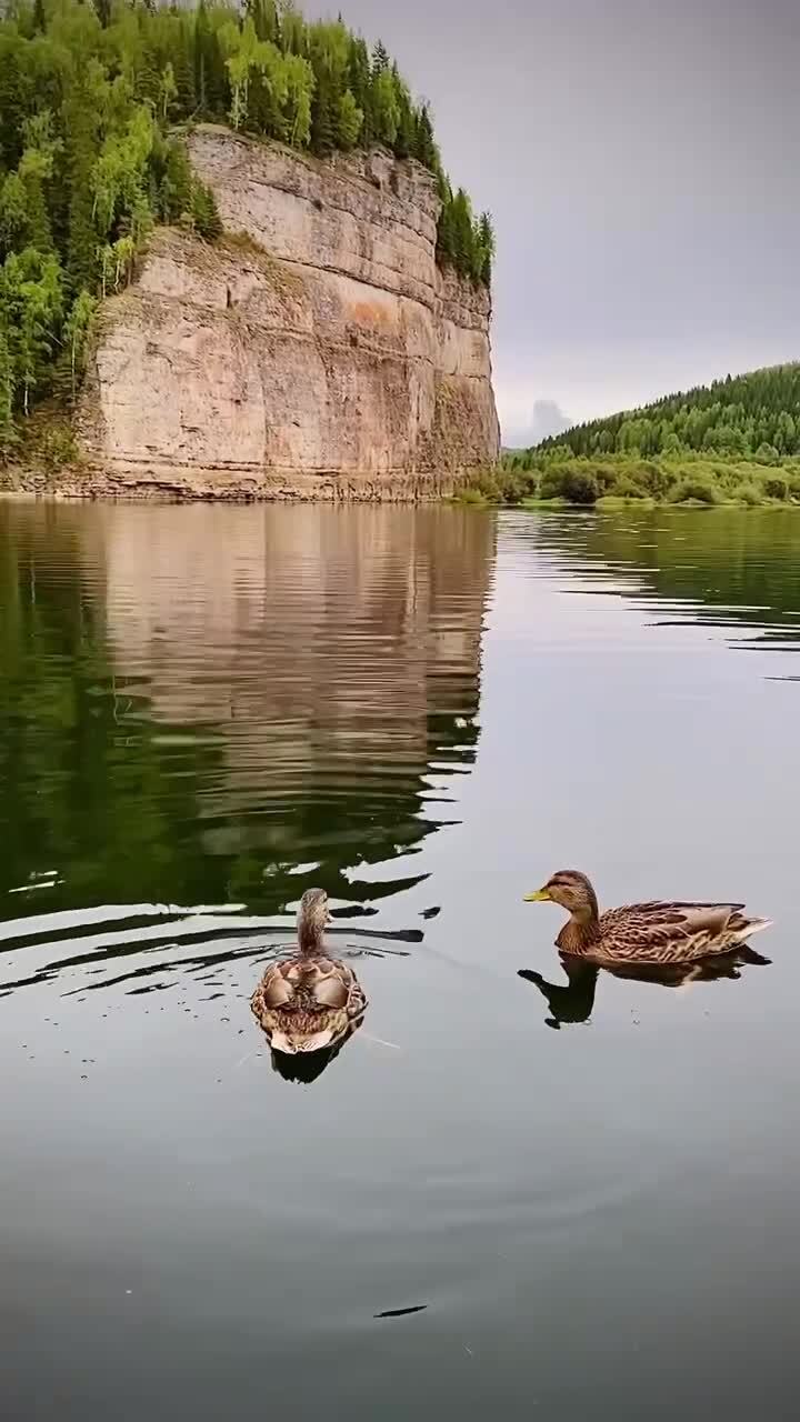 ??Говорливый камень. Деревня Заговоруха известна с 1800 года. На окраине ...