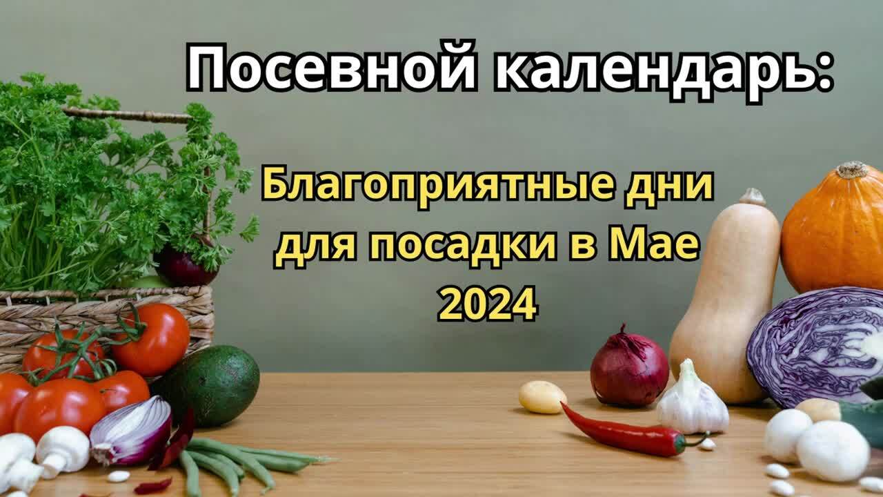 🥕Посевной календарь: благоприятные дни для посадки в мае 2024 года ...