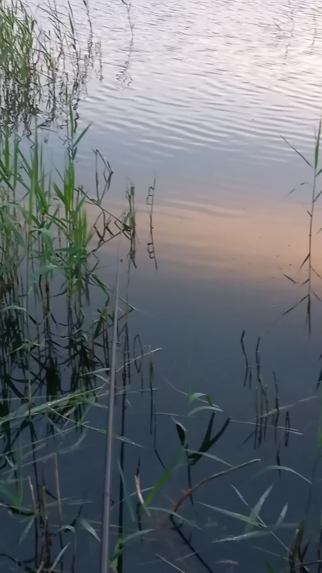 Отражение вечернего неба в озере.