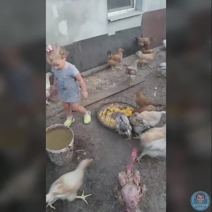 Маленькая хозяюшка